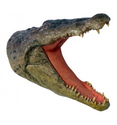 CABEZA DE COCODRILO