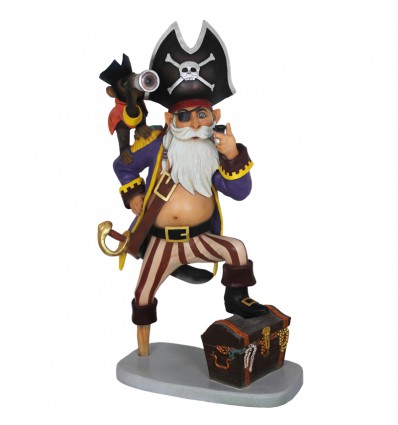 CAPITAN PIRATA ANTON