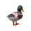 FIGURA PATO GIGANTE