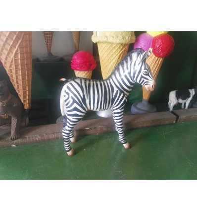 NUEVA CRIA DE CEBRA