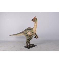 DILONG PARADOXUS
