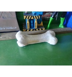 HUESO DE DINOSAURIO