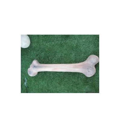 HUESO DE DINOSAURIO GRANDE