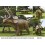 DINOSAURIO TRICERATOPS GIANT