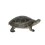TORTUGA PEQUEÑA