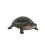 TORTUGA PEQUEÑA