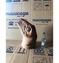CABEZA DE CRIA DE T-REX