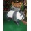 REPRICA OSOS PANDA CAMINANDO