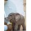 CRIA ELEFANTE