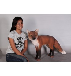RED FOX