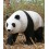 REPRICA OSOS PANDA CAMINANDO