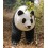 REPRICA OSOS PANDA CAMINANDO