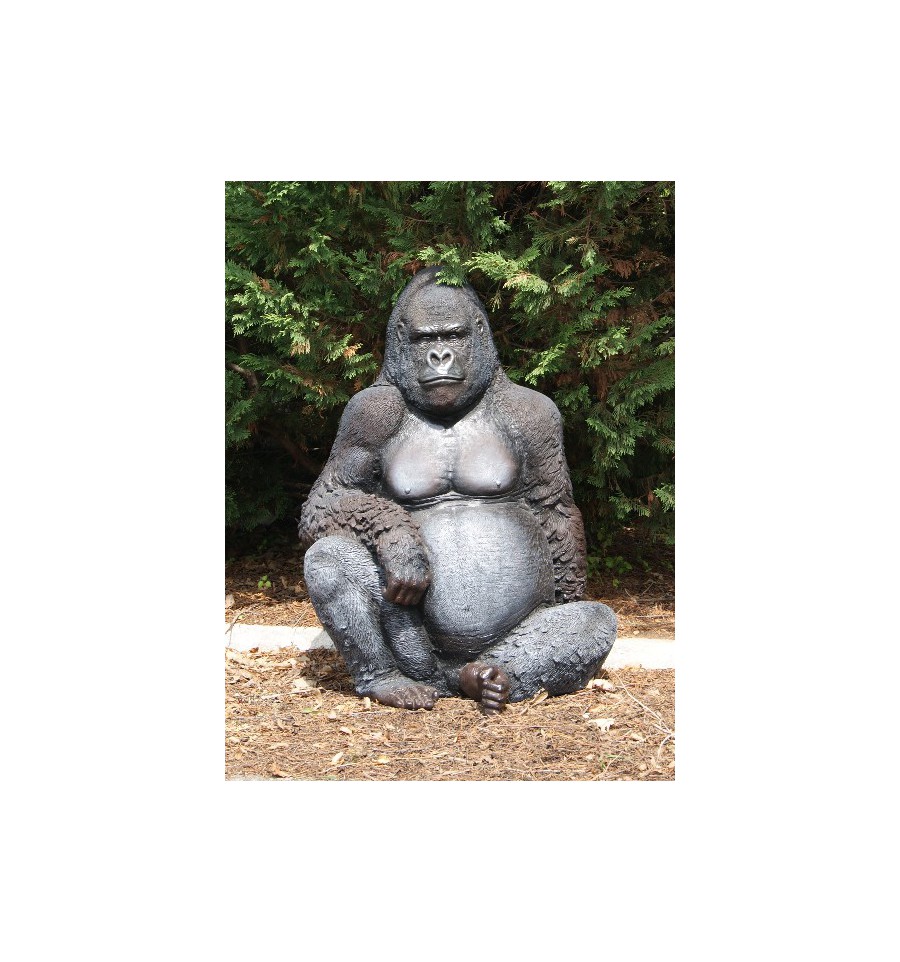 My Image 6