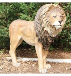 LION STANDING