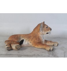 Lion Cub - Lying down