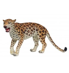 LEOPARDO