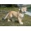 FIGURA LEON CACHORRO DE PIE