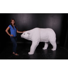 POLAR BEAR WALKING