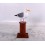 GAVIOTA