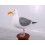 GAVIOTA