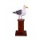 GAVIOTA