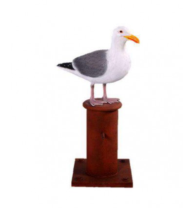 GAVIOTA