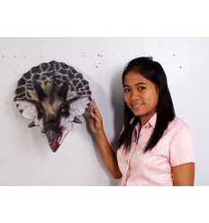 CABEZA TRICERATOPS PEQUEÑO