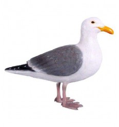 REPLICA AVE GAVIOTA