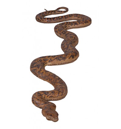 FIGURA SERPIENTE PITON