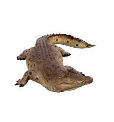 Crocodile 12ft.