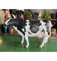 COW  HEAD UP