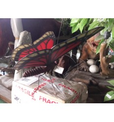 BUTTERFLY