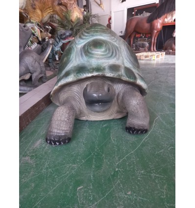 TORTUGA DE ALDABRA