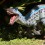REPLICA CRIA VELOCIRAPTOR "THUNDER JAWS"
