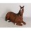 ANIMAL HORSE RESTING