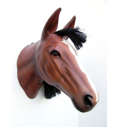 CABEZA CABALLO