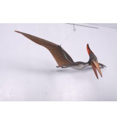 ANIMAL DINOSAUR PTERANODON FLYING