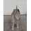 REPLICA CRIA ELEFANTE DE PIE