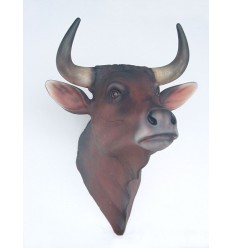 CABEZA TORO JOVEN