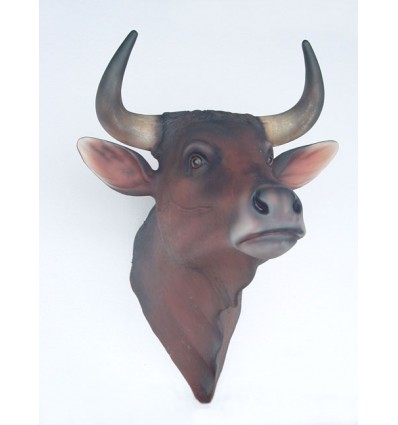 CABEZA TORO JOVEN