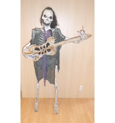 GUITAR PLAYER
