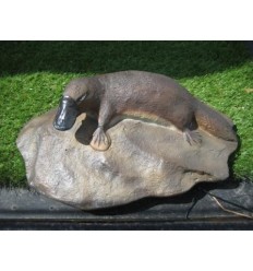LARGE PLATYPUS