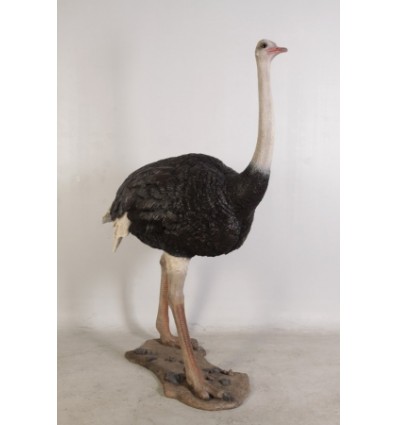 ANIMAL OSTRICH