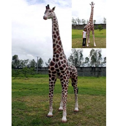 GRAN JIRAFA AFRICANA