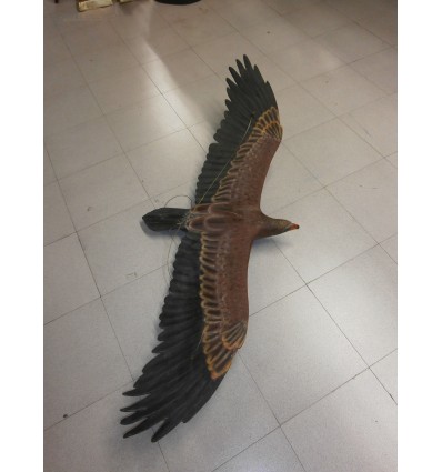 ANIMAL EAGLE WEDGE TAILED FLYING -AGUILA-