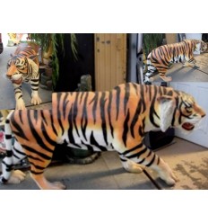 TIGRE CAMINANDO