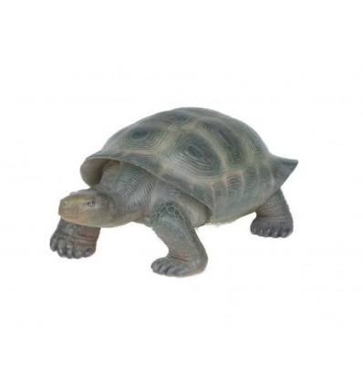 TORTUGA TERRESTRE VERDE