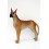 PERRO DOGO GRAN DANES