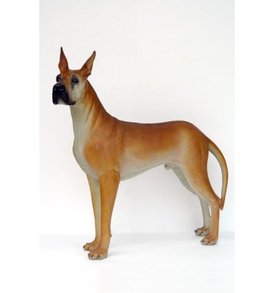 PERRO DOGO GRAN DANES