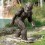 ANIMAL MONKEY YETI THE GRADEN BIGFOOT